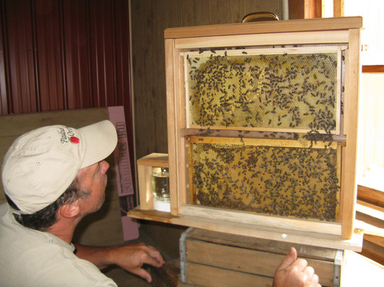 Mt Airy Orchards-Dillsburg必去景点