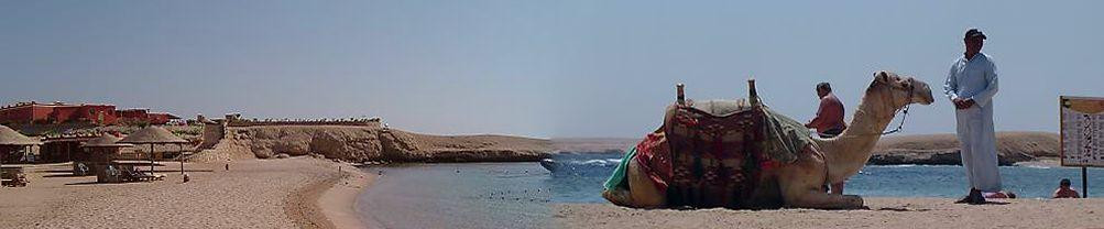 Sharm El Naga-Safaga必去景点