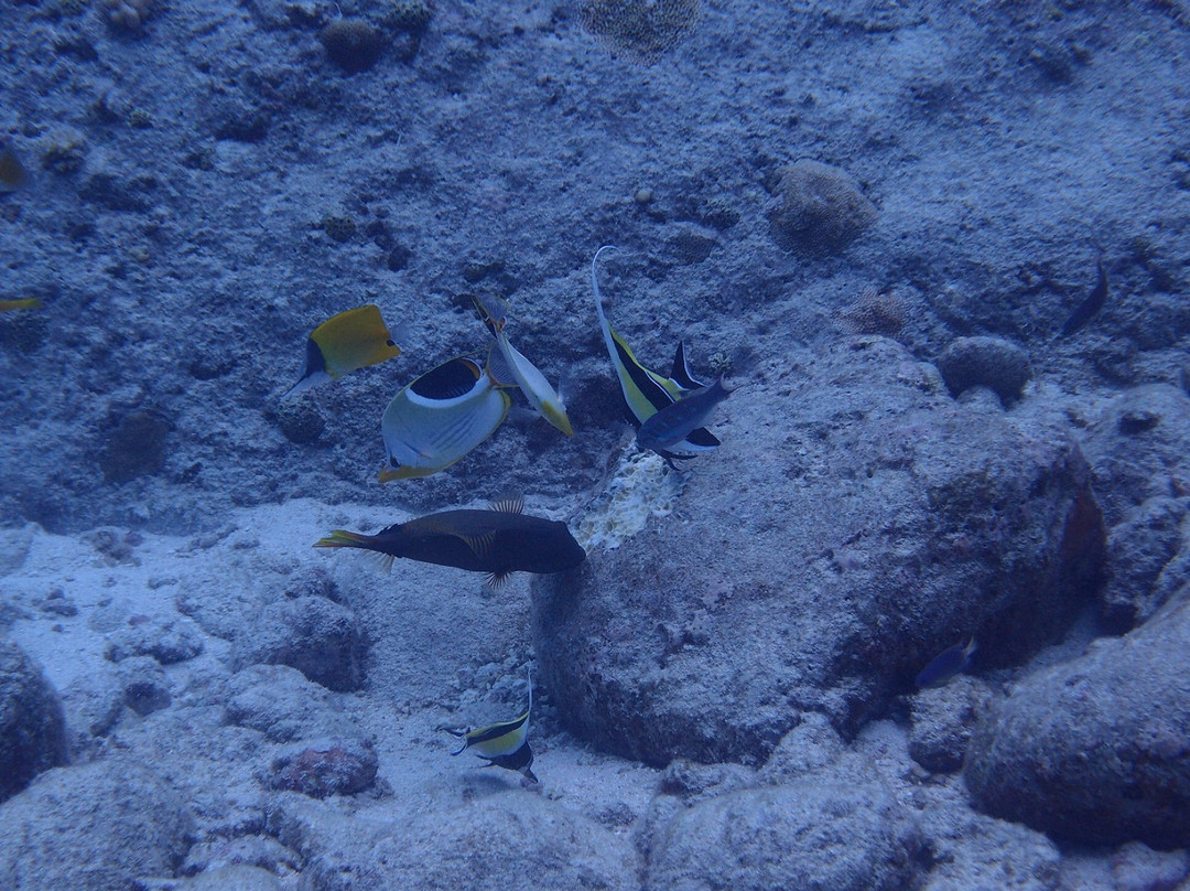 鸥碧燕海滩-Obyan必去景点