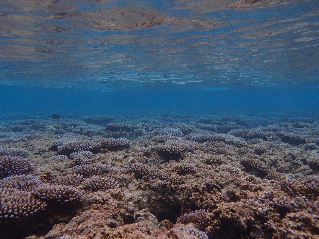 鸥碧燕海滩-Obyan必去景点