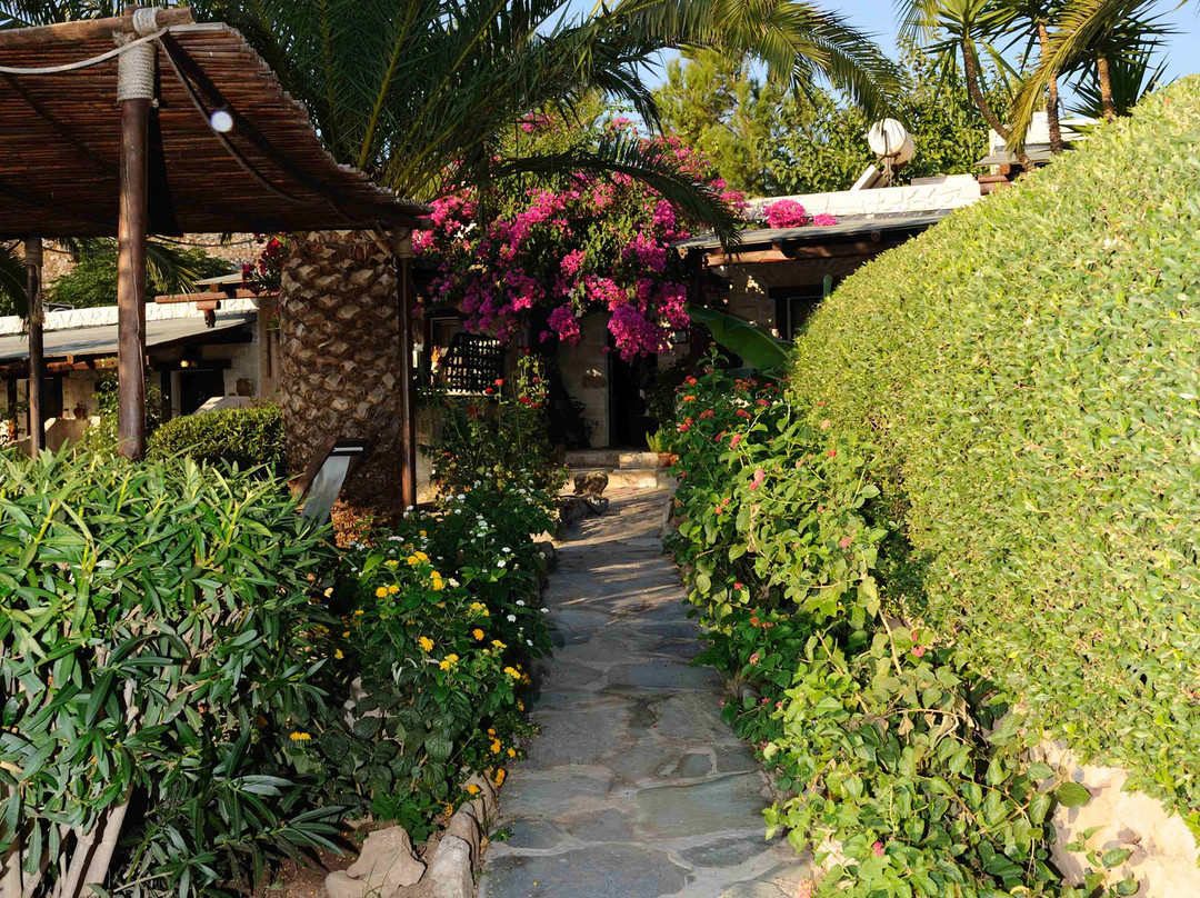 Kato Zakros酒店住宿-雅尼斯瑞推特酒店