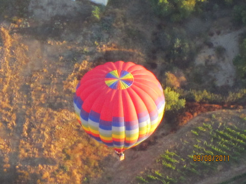 Grape Escape Balloon Adventures-特曼库拉必去景点