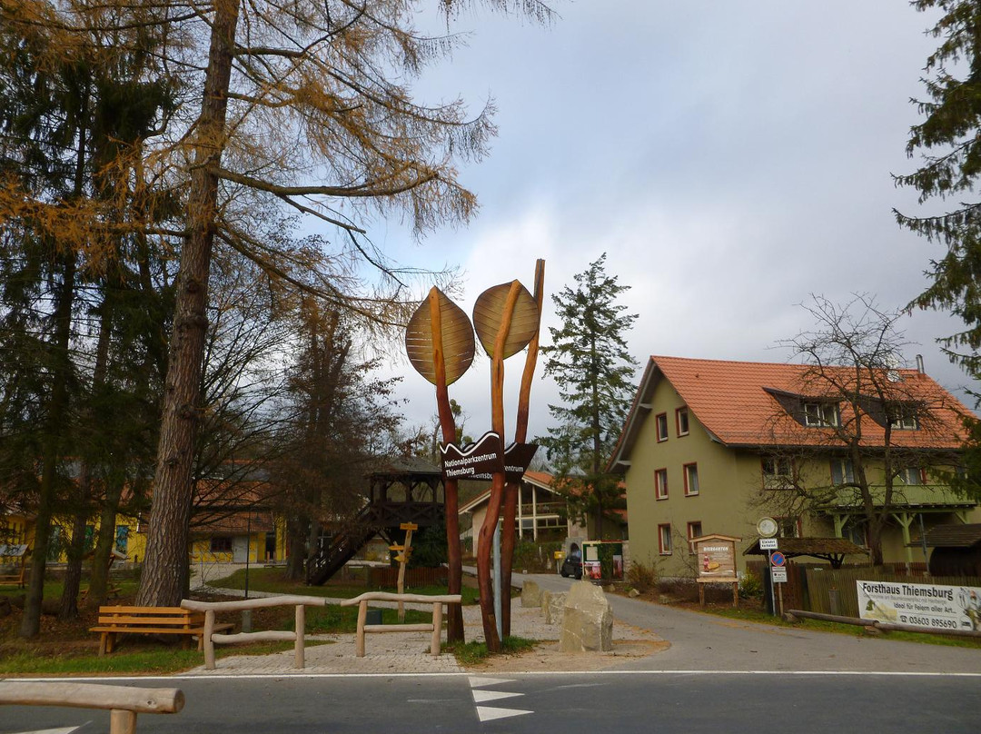 Baumkronenpfad-Bad Langensalza必去景点