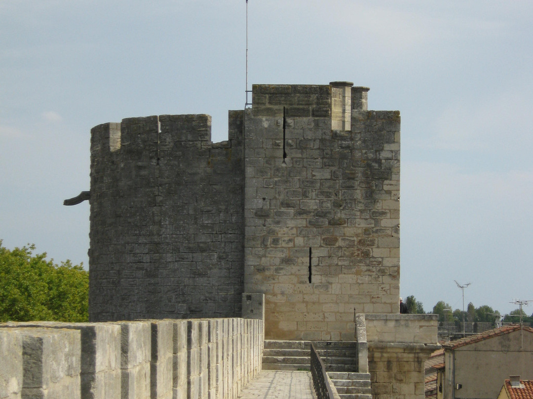 Towers and Ramparts of Aigues-Mortes景点图片