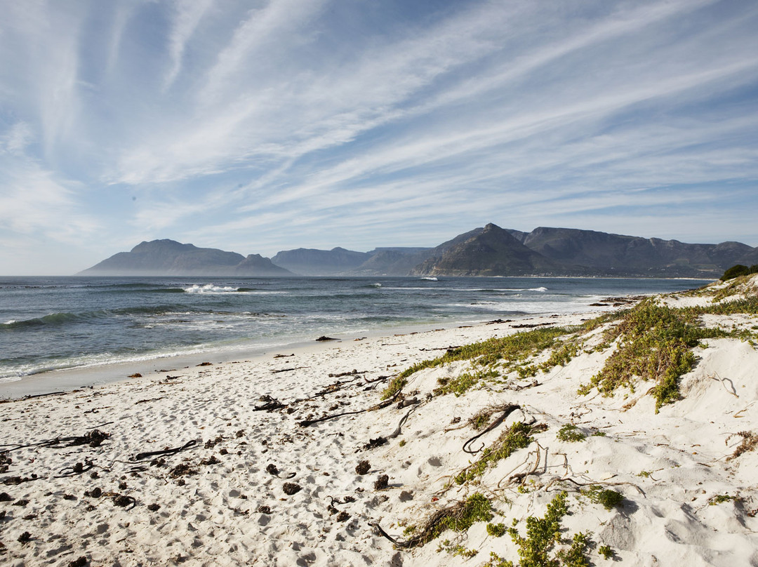 Eco Wave Lodge