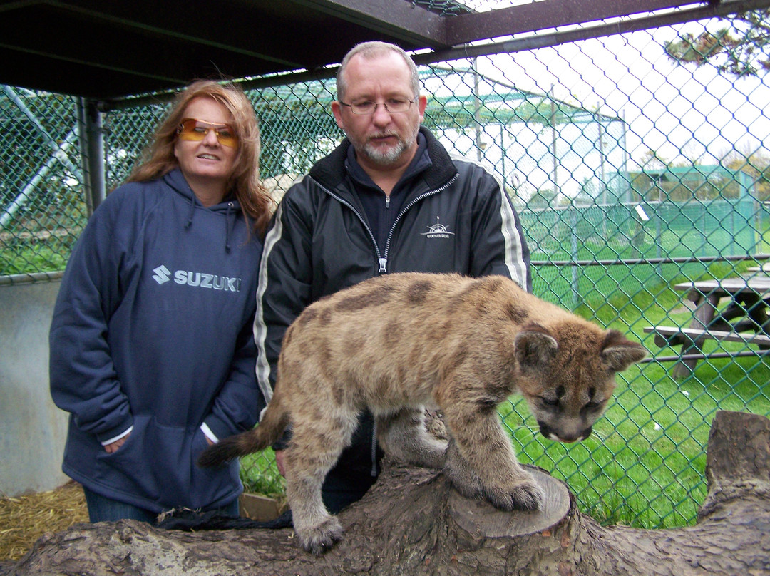Jungle Cat World Wildlife Park景点图片