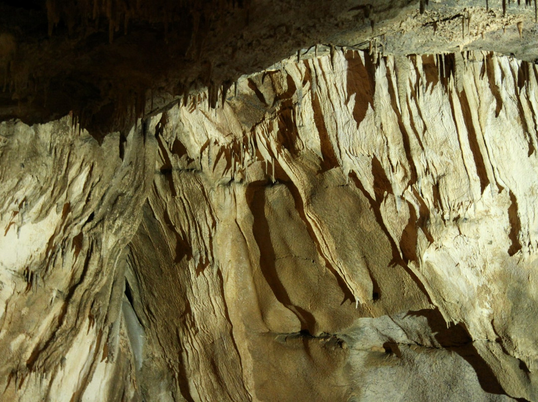 Grottes de Bétharram景点图片