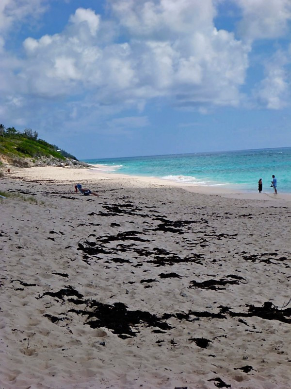 Warwick Long Bay Beach-Warwick Parish必去景点