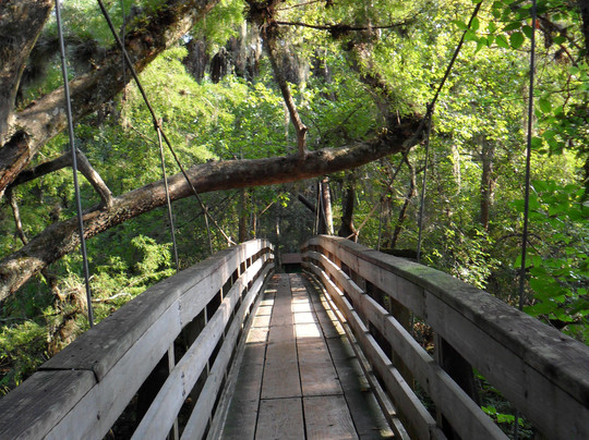Hillsborough River State Park-Thonotosassa必去景点