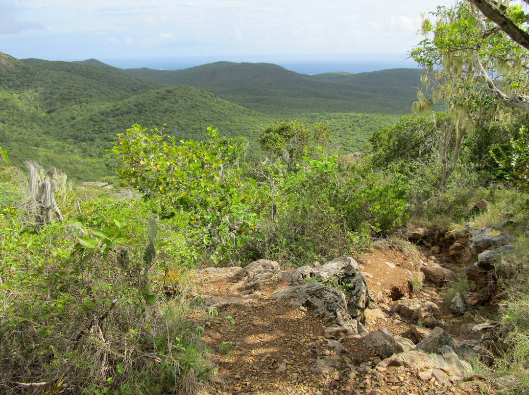 Mount Christoffel-Christoffel National Park必去景点