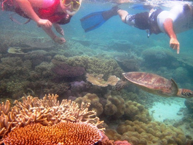 Sunlover Reef Cruises-凯恩斯必去景点