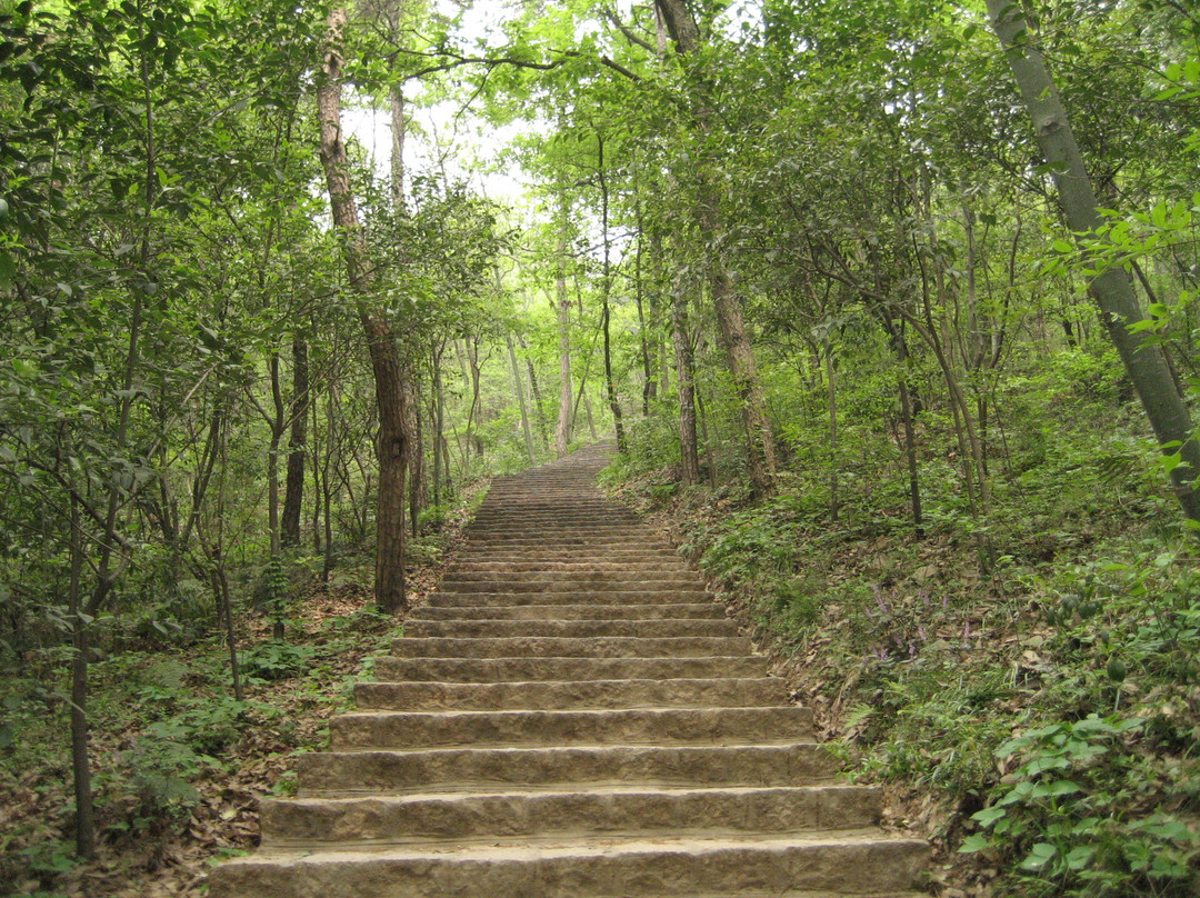 中山陵音乐台-南京市必去景点