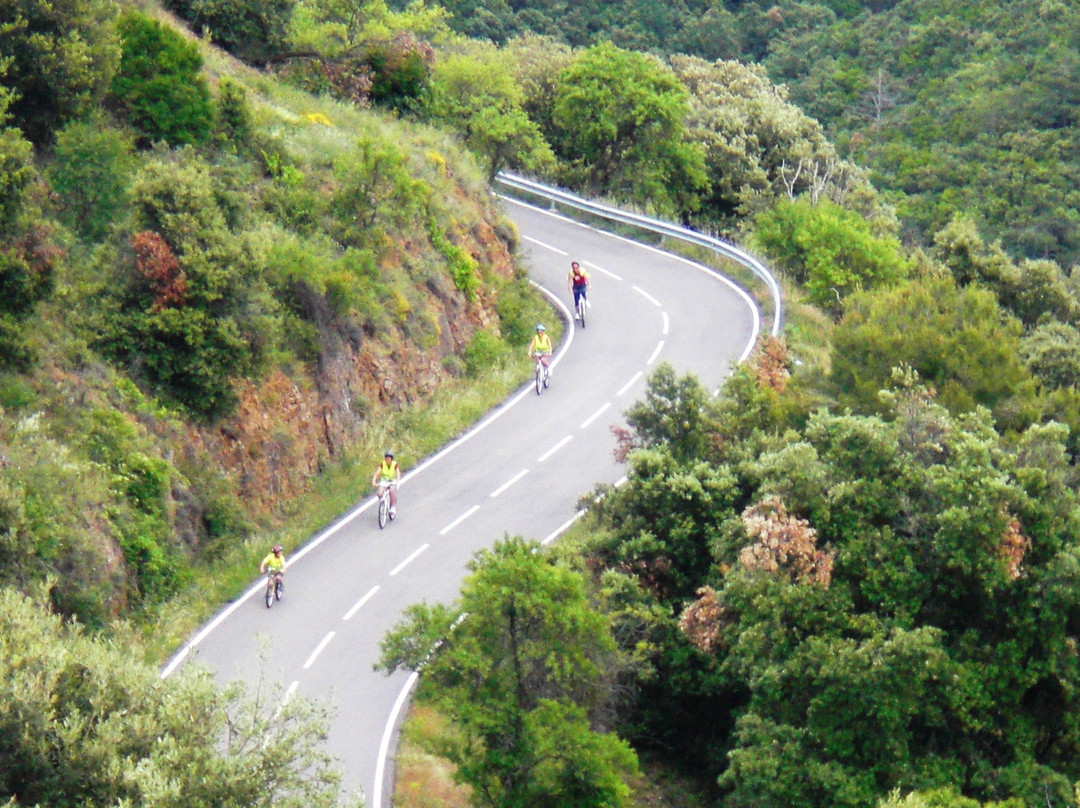 Salou Downhill Bikes景点图片