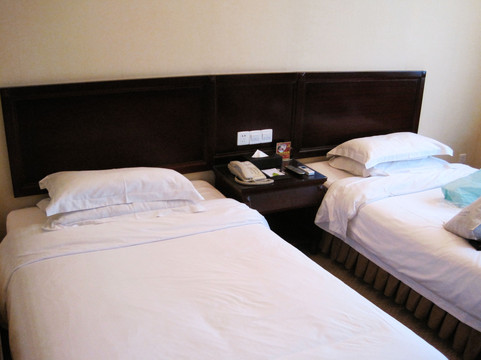 维也纳酒店(深圳蛇口海湾店)主图