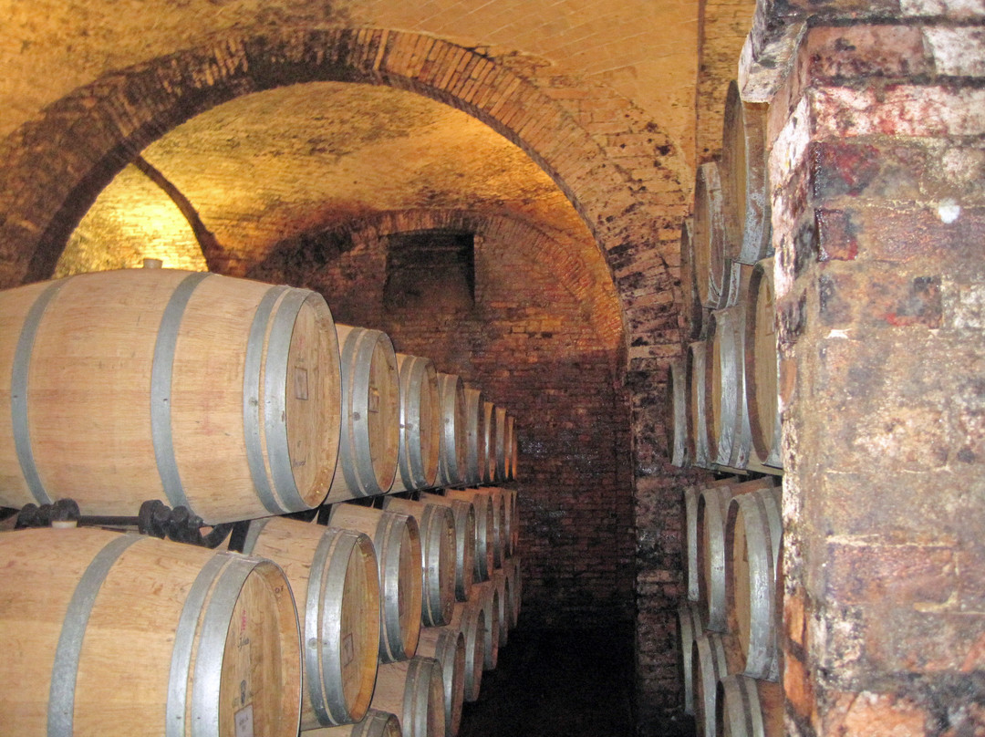 Taste Tuscany景点图片
