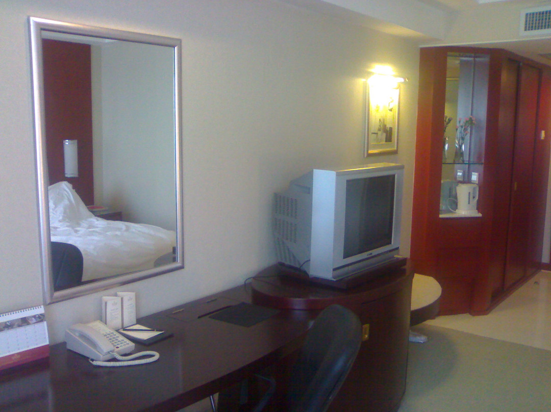 金安大饭店主图