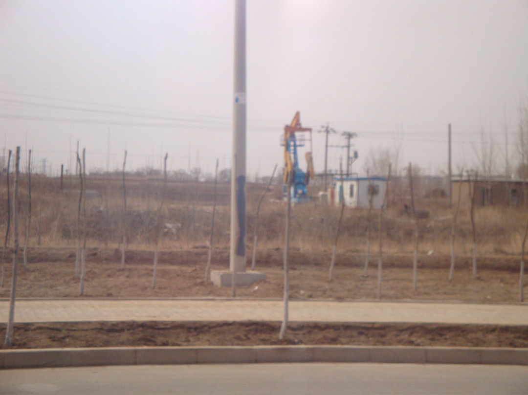 东营蓝海国际大饭店主图