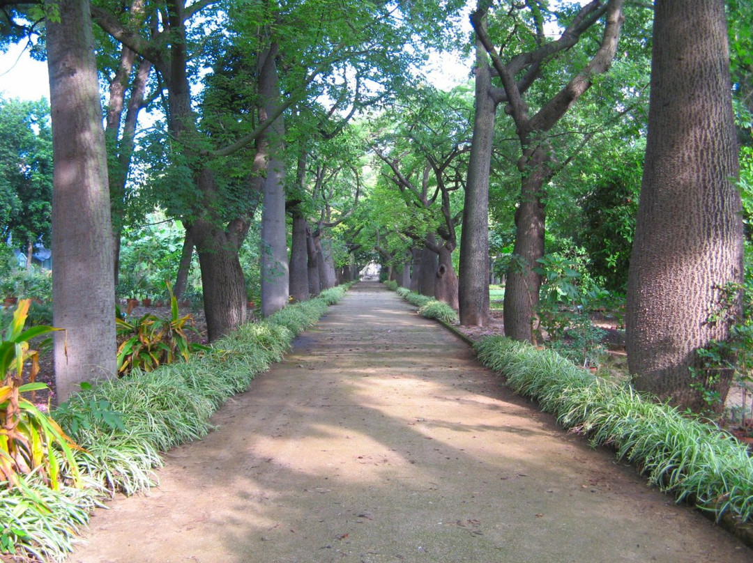 Orto Botanico di Palermo-巴勒莫必去景点