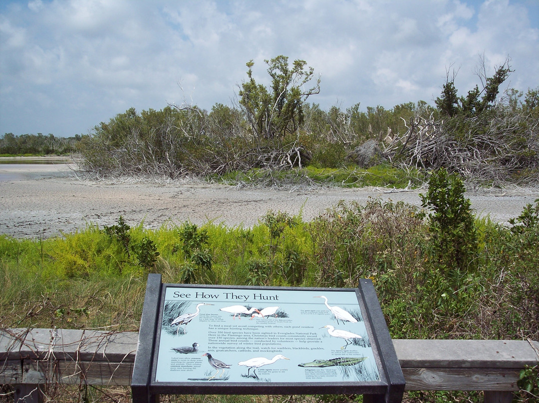 Eco Pond-大沼泽国家公园必去景点