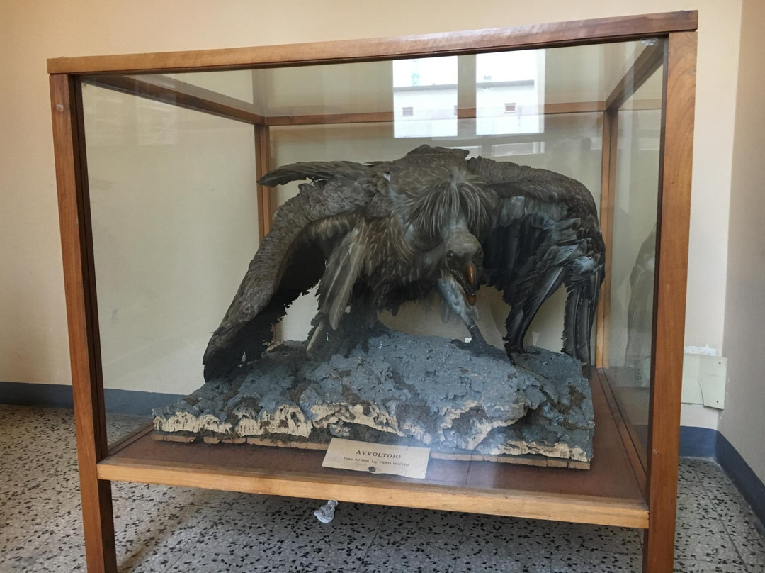 Museo di Storia Naturale di Lecco-莱科必去景点
