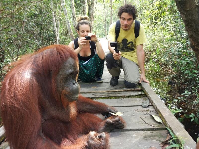 Yobel Alam Tours Orangutan Tanjung Puting景点图片