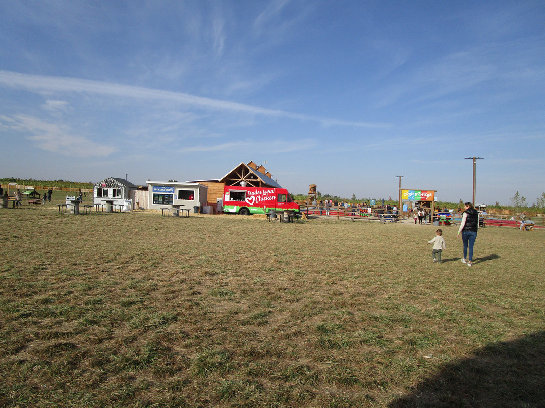 Lowe Family Farmstead景点图片