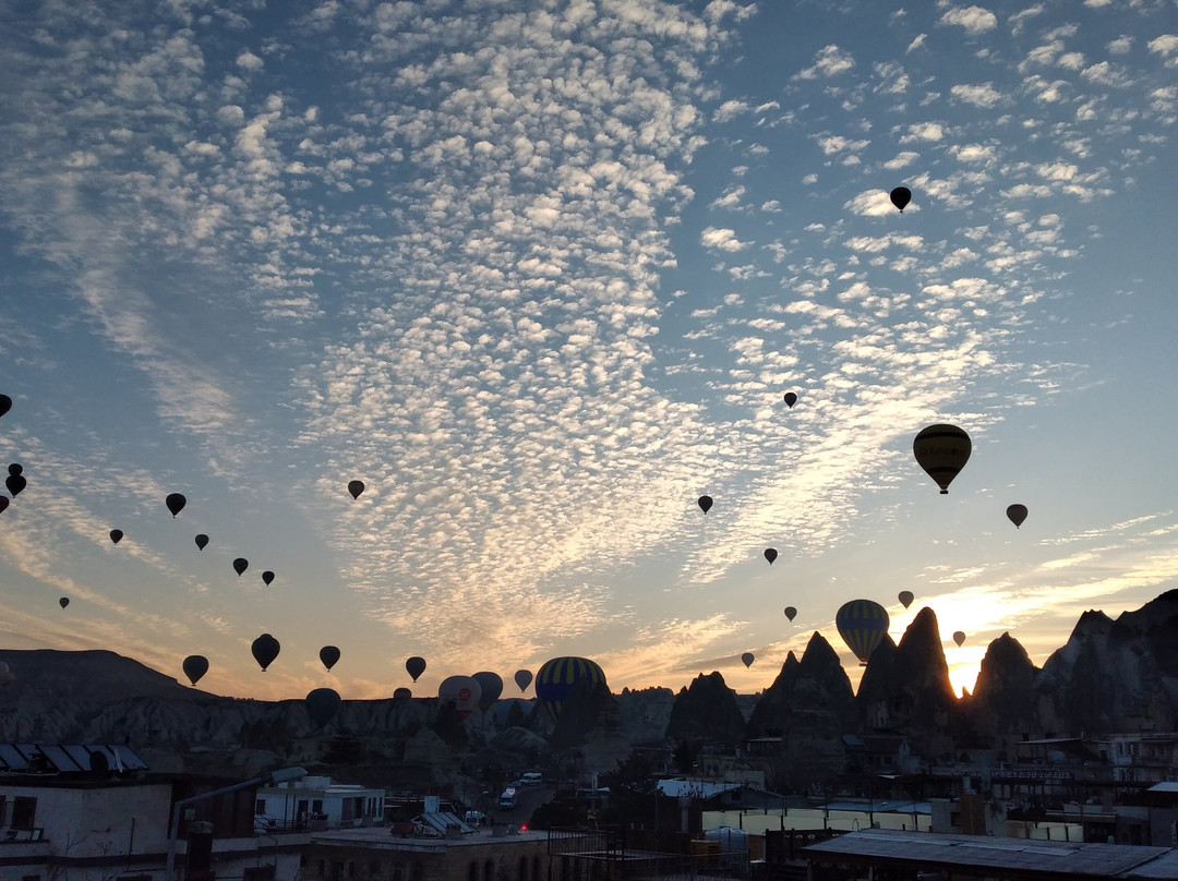 feel the nature travel