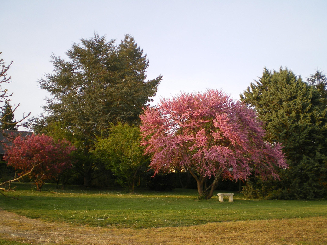 La Maison de Framboise主图