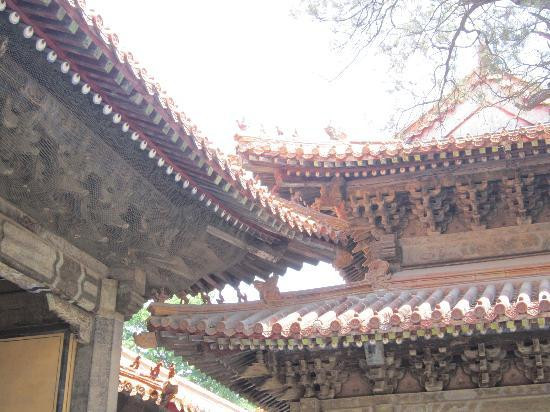 曲阜孔庙景点图片