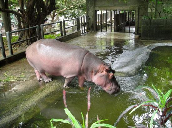 冲绳儿童王国-冲绳市必去景点