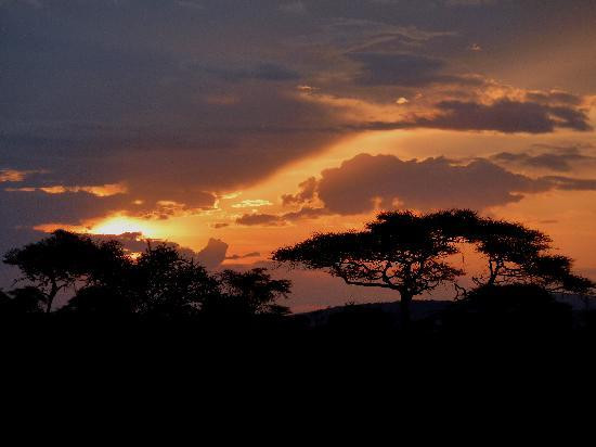 Seronera-塞伦盖蒂国家公园必去景点