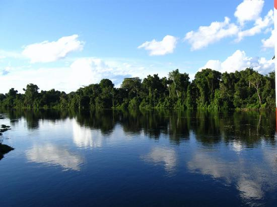 Pacaya Samiria National Reserve景点图片