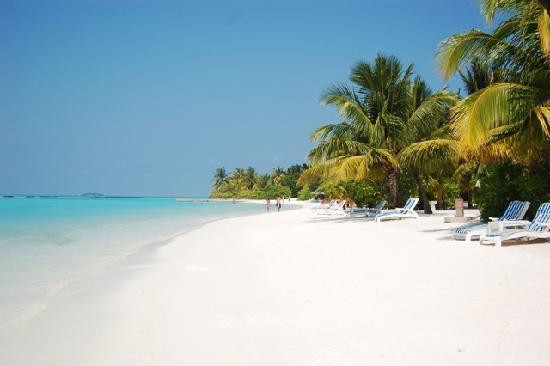 熊利桑那野生动物园-威廉姆斯必去景点