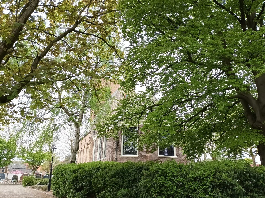 Dorpskerk Protestantse Gemeente Sassenheim景点图片