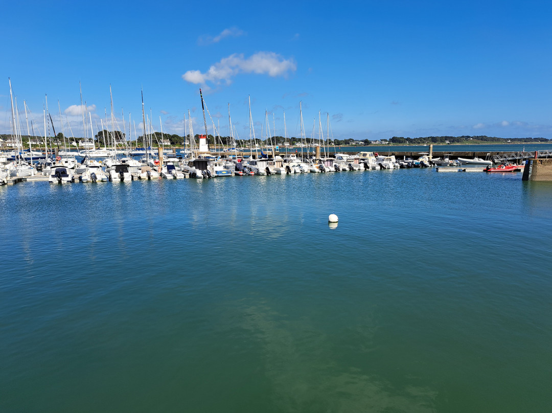 Port de la Trinité-sur-Mer-La Trinite-sur-Mer必去景点