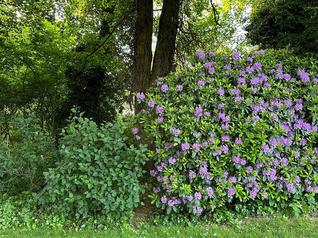 Botanischer Garten景点图片