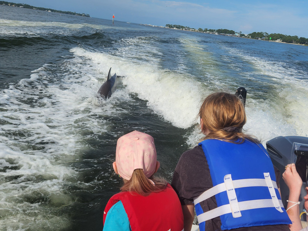 Back Bay Charters-橙色海湾必去景点