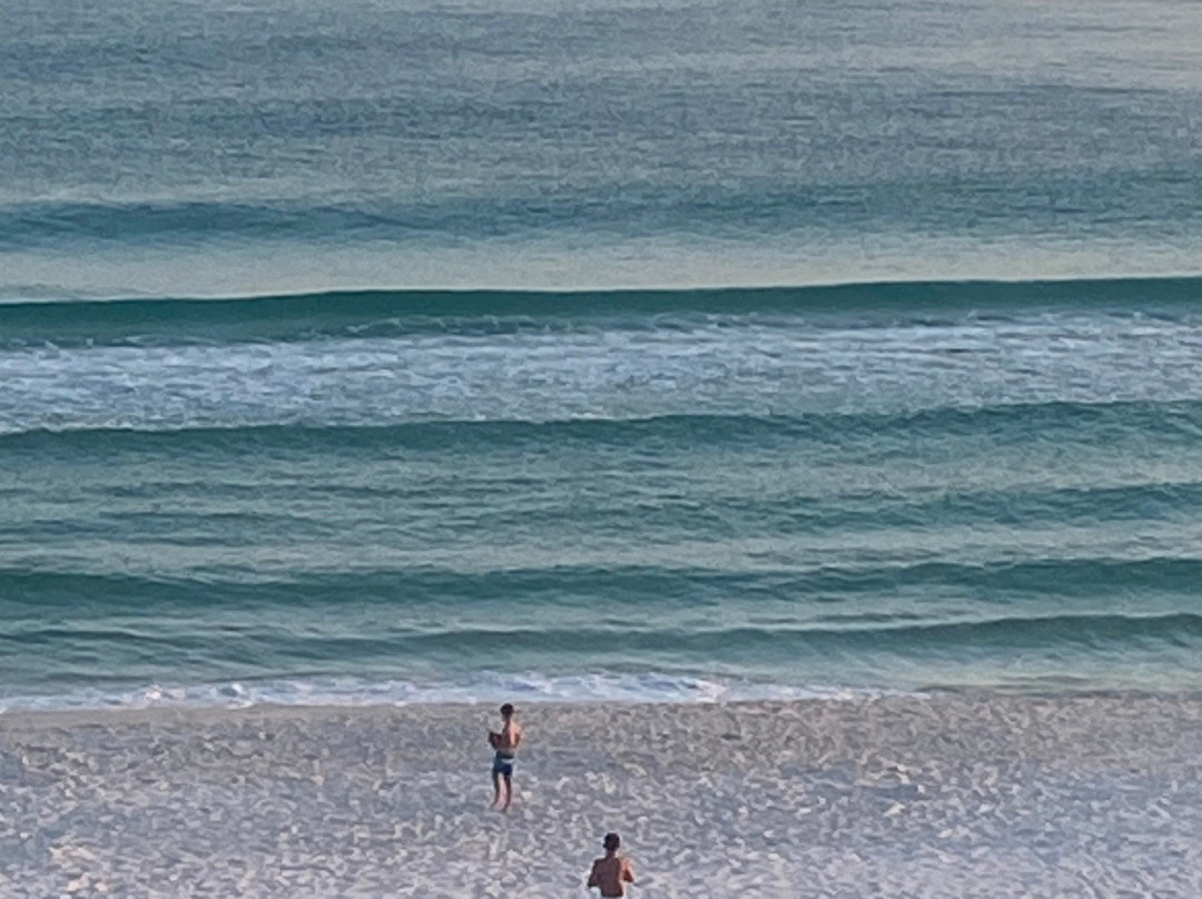 Osprey on the Gulf主图