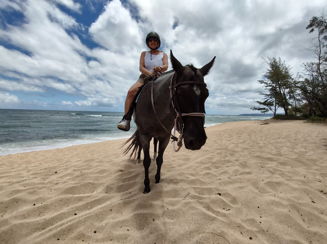Hawaii Polo Trail Rides-瓦亚禄必去景点