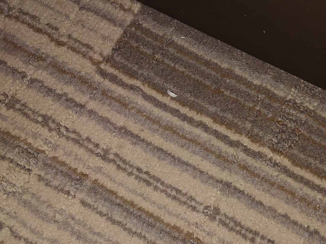 Holiday Inn Express & Suites Houston E - Pasadena by IHG主图