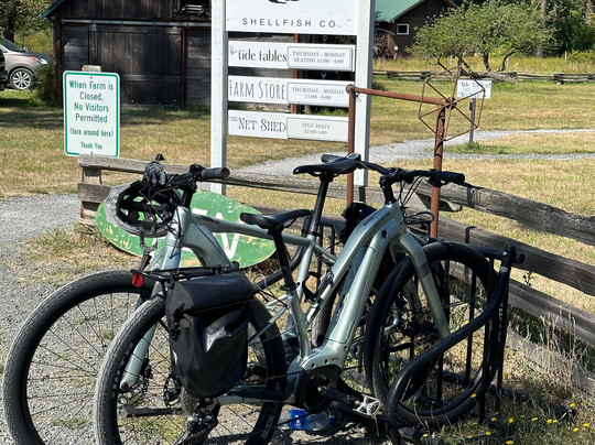 Meat Machine Cycles-星期五港湾必去景点