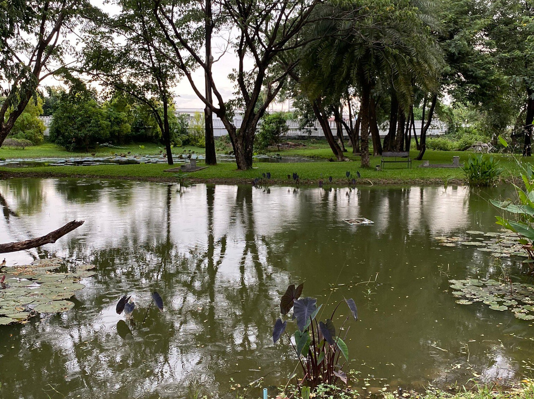 Green@Buriram主图