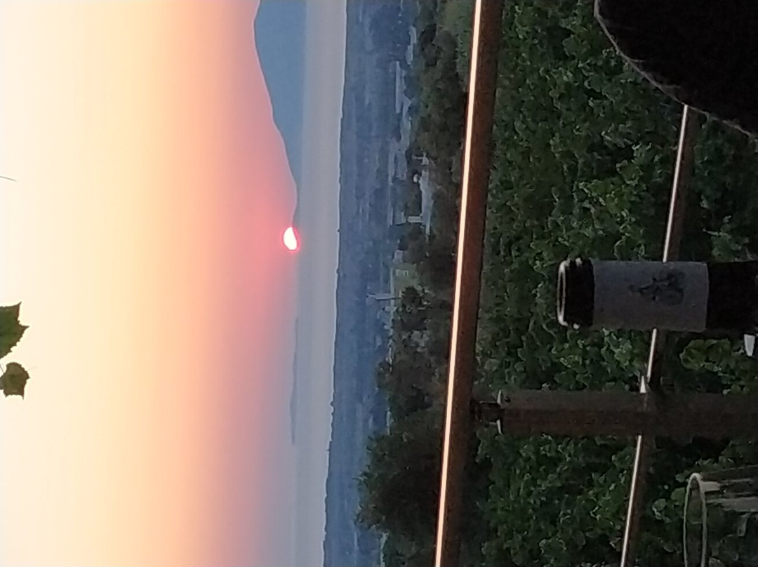 Papakonstantinou Winery-Pili必去景点