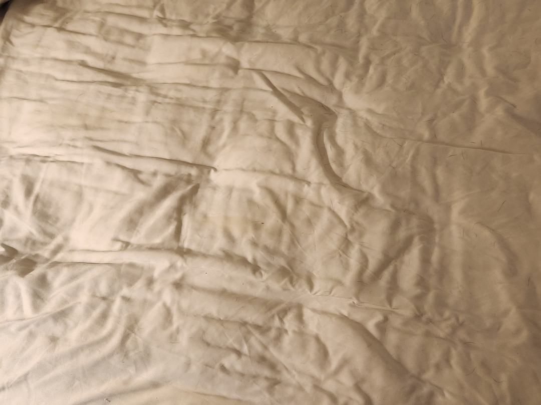 Quality Inn Evanston Near Wyoming Downs主图