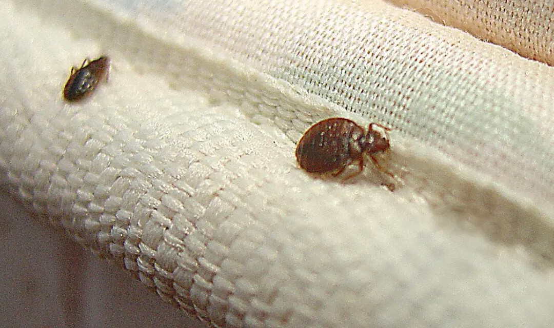 Hyatt Place Dallas/Allen主图