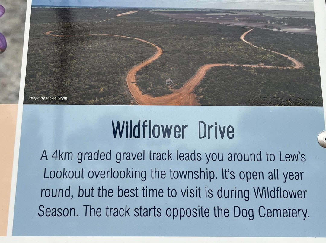 Corrigin Wildflower Drive景点图片