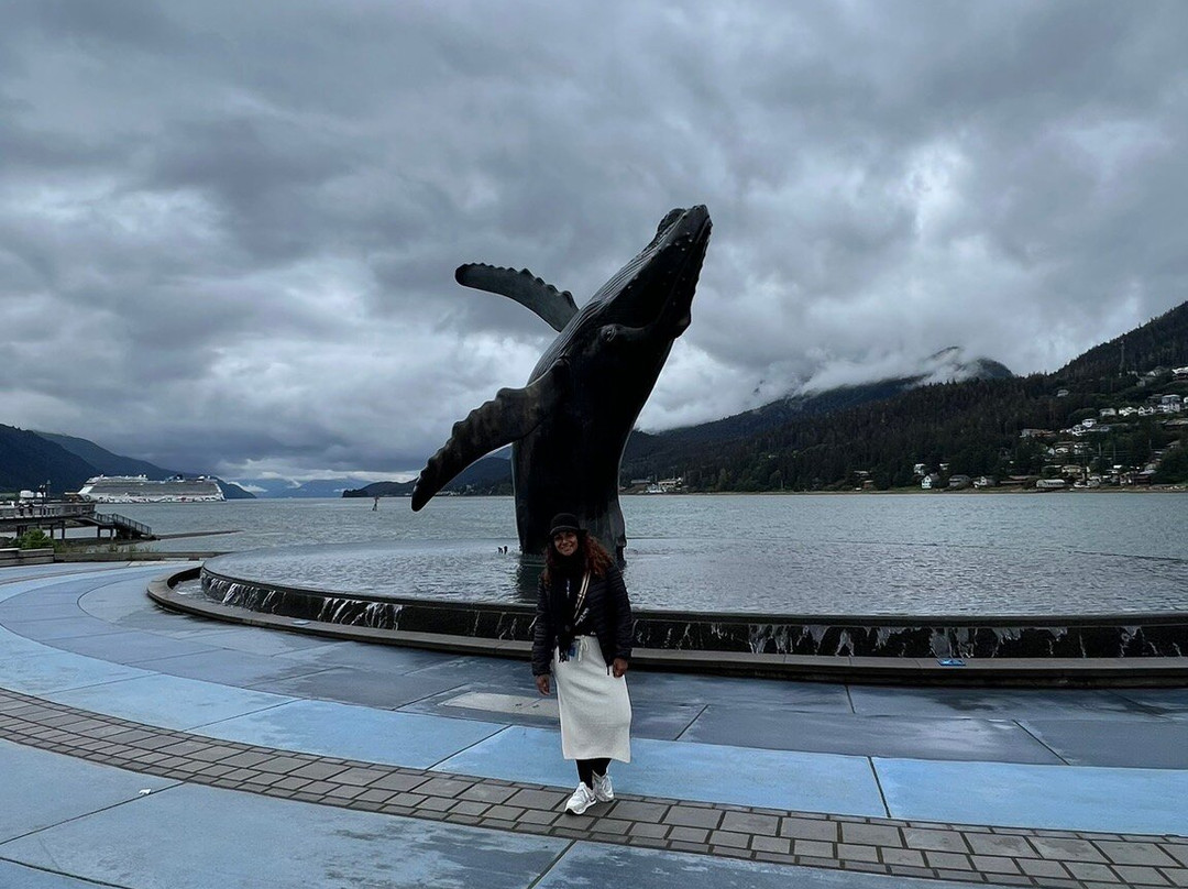 The Whale Project-朱诺必去景点