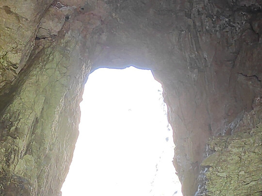 Poseidon Diving Center-阿尔盖罗必去景点