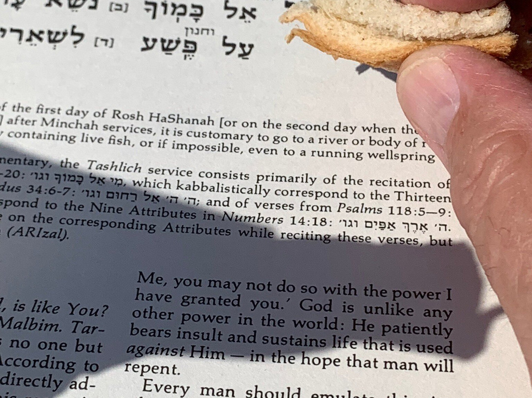 Tayelet Homot Hayam-雅法必去景点