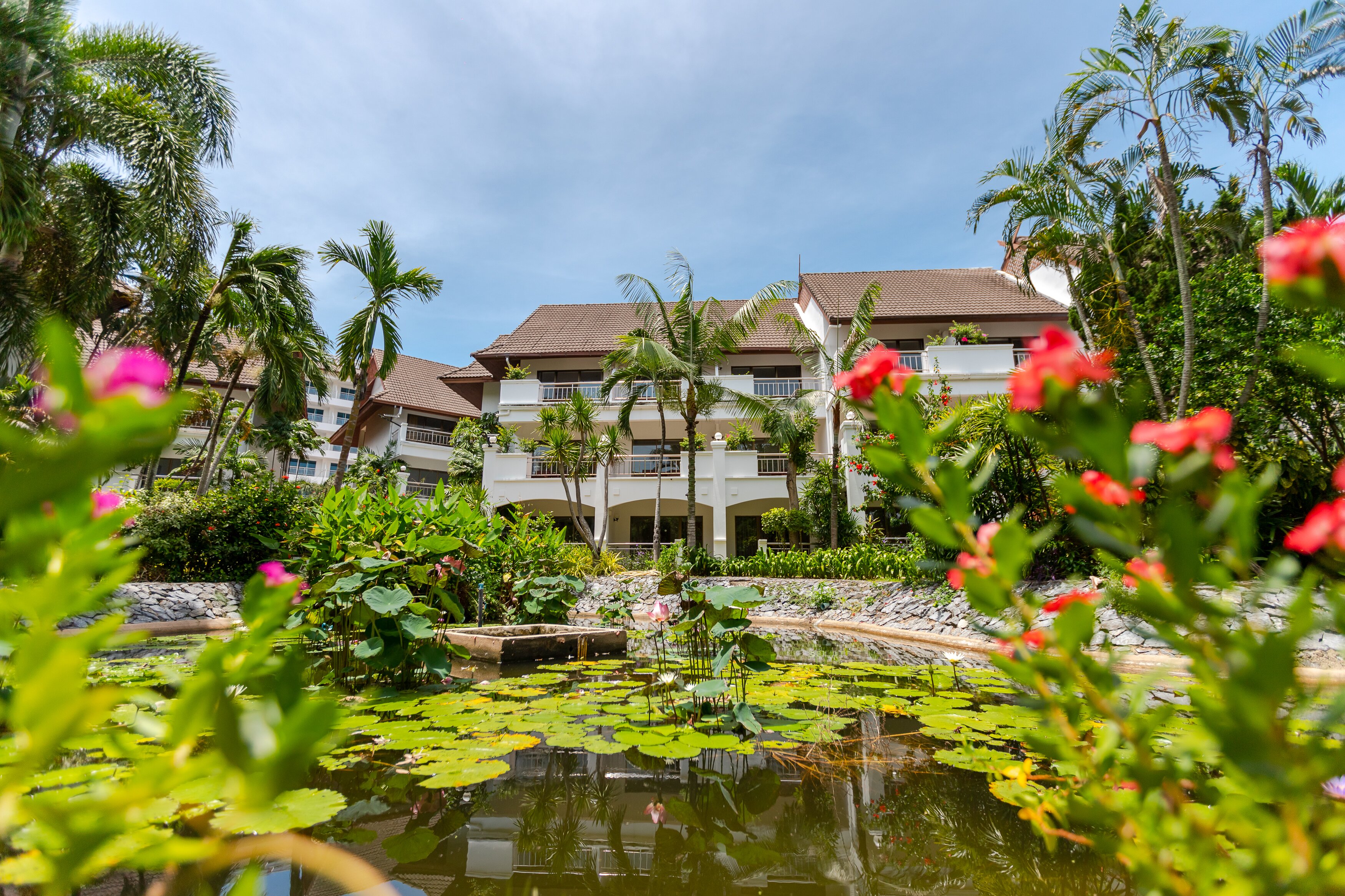 品尼高大乔木提恩度假村-官方